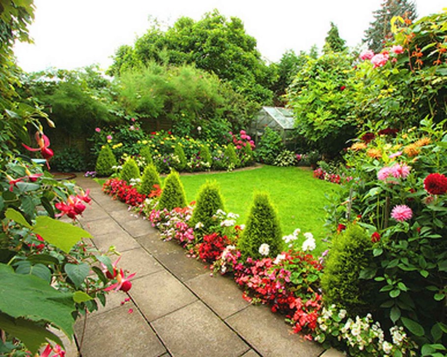 Рабатка Тунберга