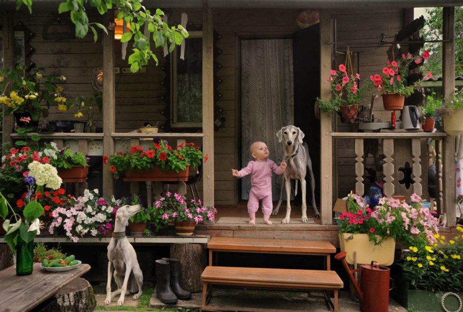 Уютный домик с садом и собакой