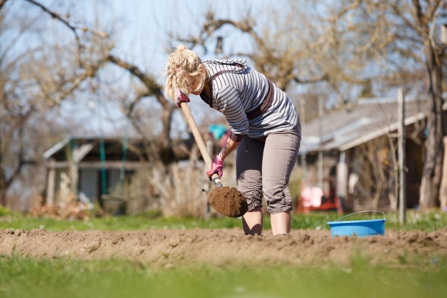 Женщина в огороде