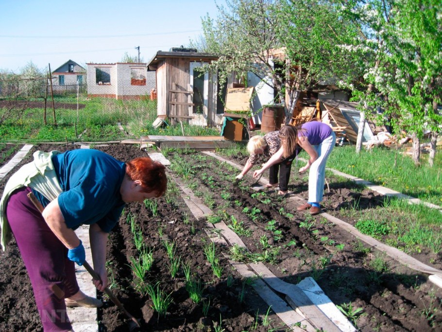 Труд на даче