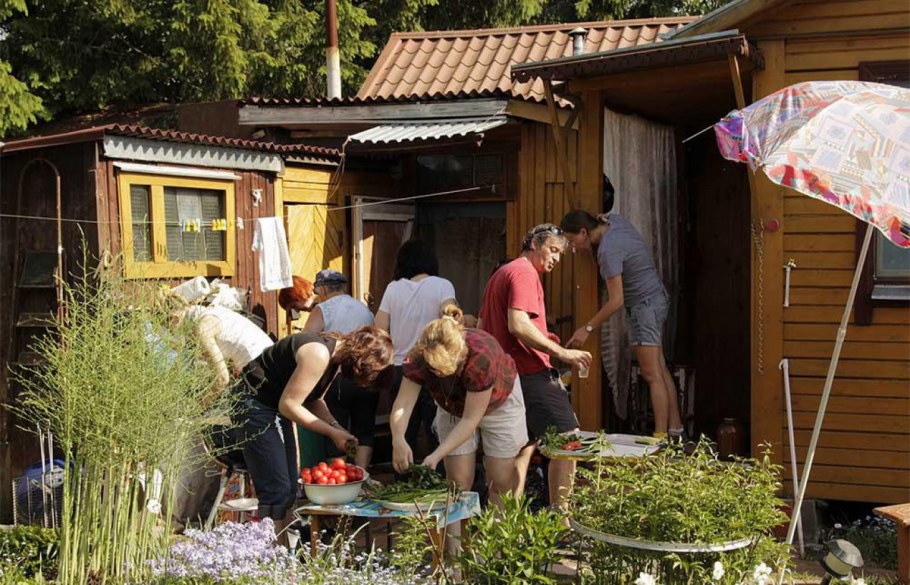 Соседи на даче