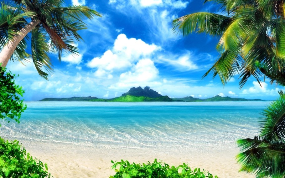 Море пляж пальмы