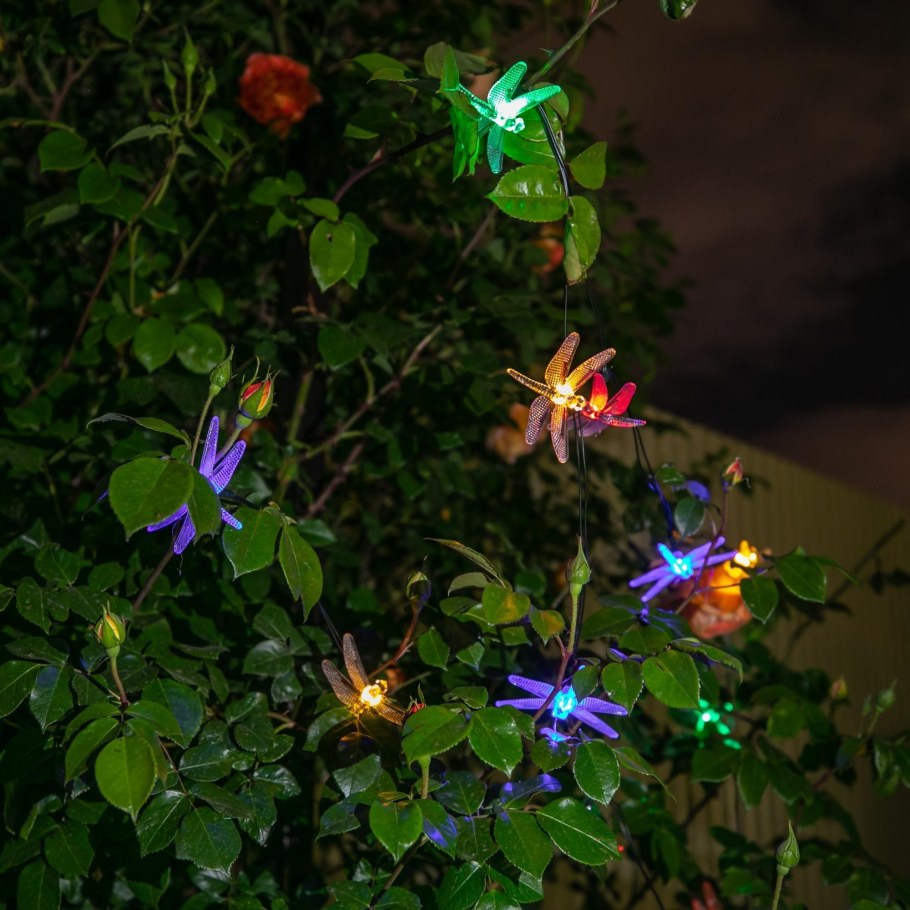 Светильник ФАZА SLR-g01