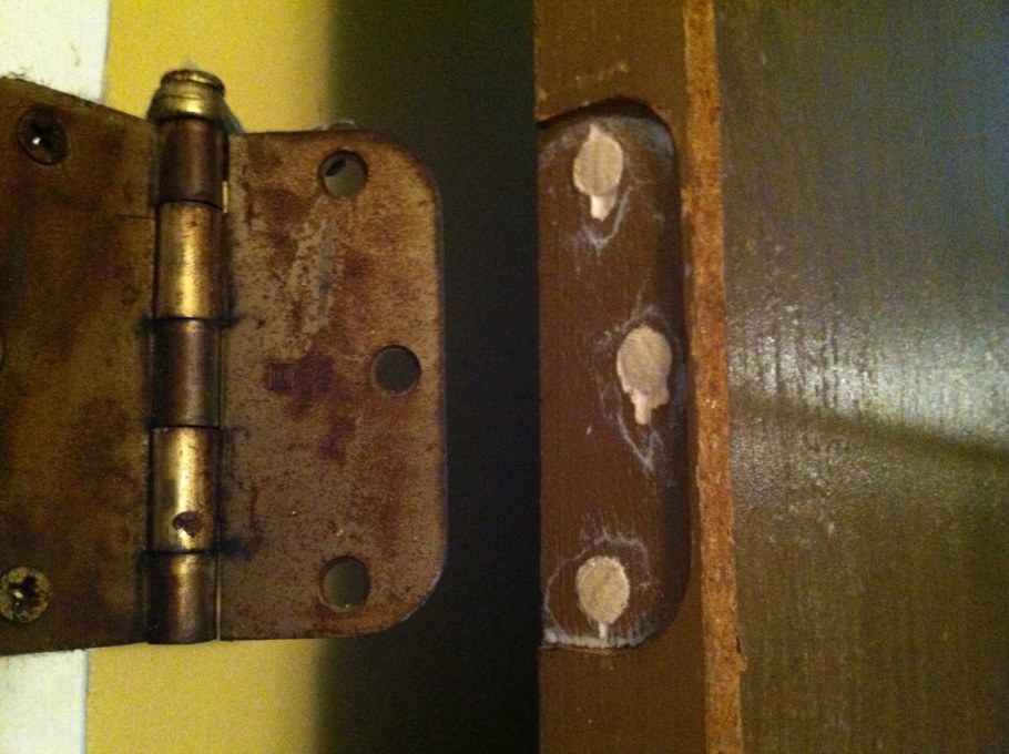 Двойная дверная петля