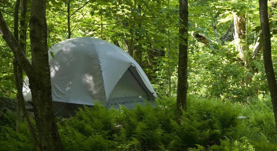 Палатка Forest Grand Nora 4 зеленый