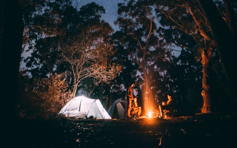 Лес палатка костер