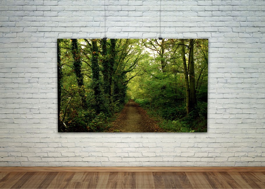 Картина стена