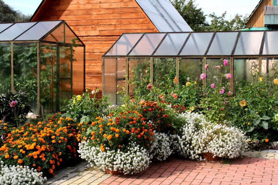 Клумбы на даче