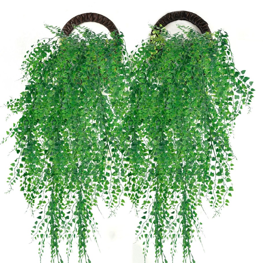 Свисающие цветы комнатные