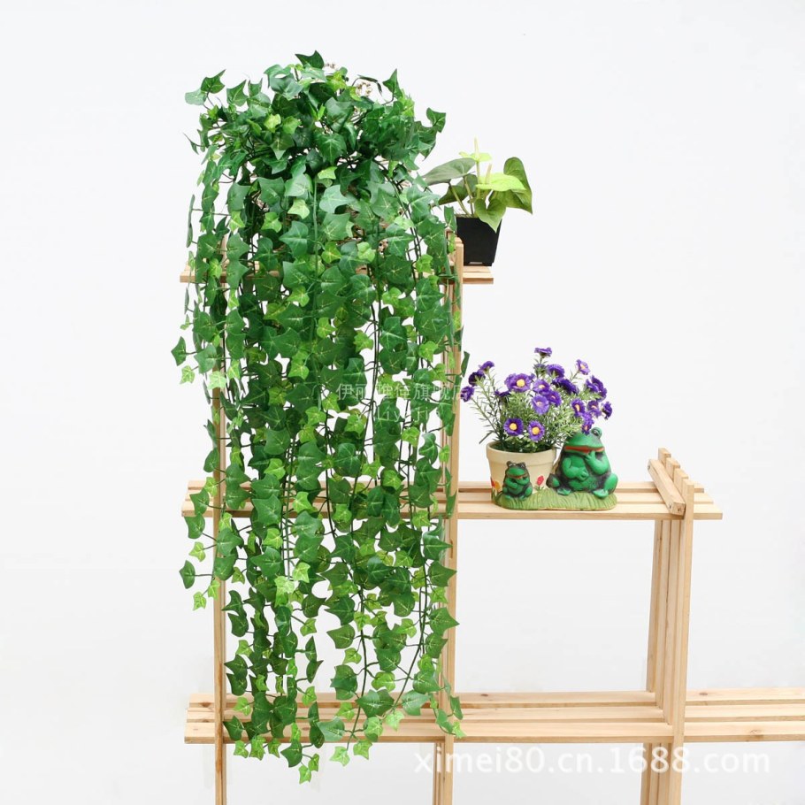 Дисхидия ампельная