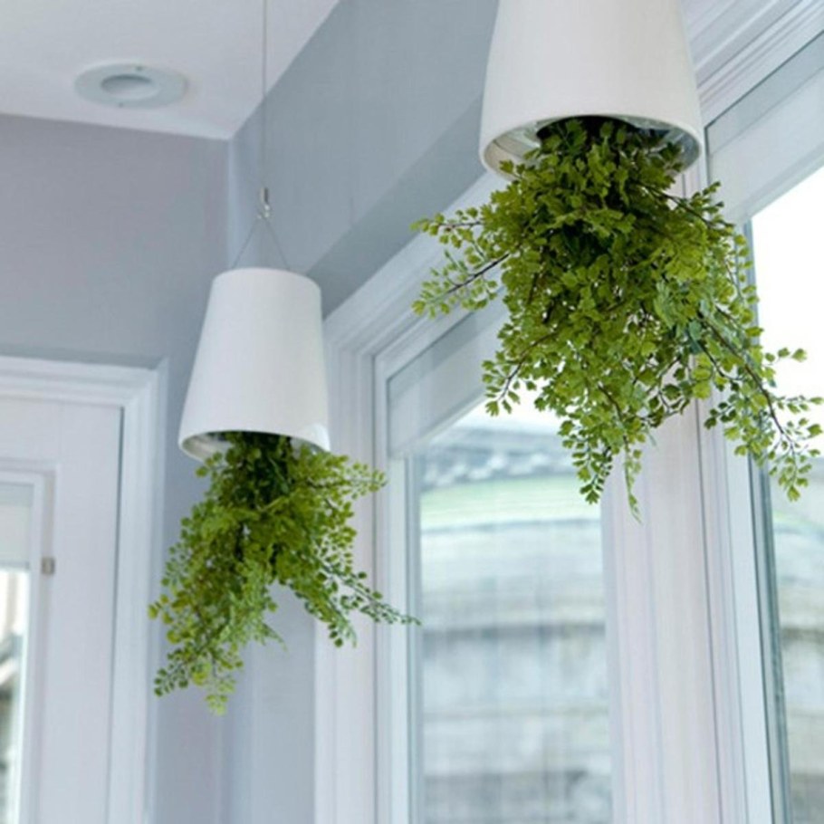 Подвесные растения на потолок