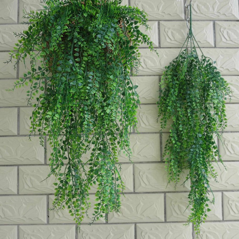 Аспарагус ампельный 3d model