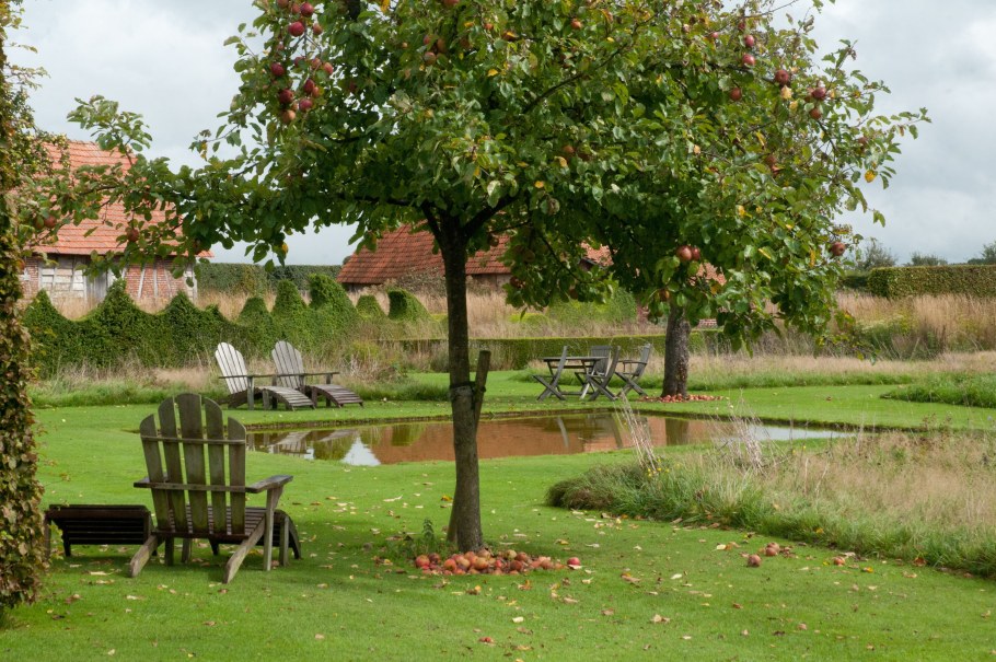 Карликовые крупномеры яблонь