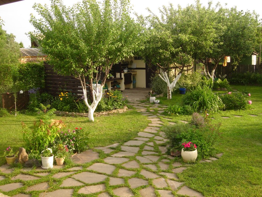 Яблоня карликовая с2l