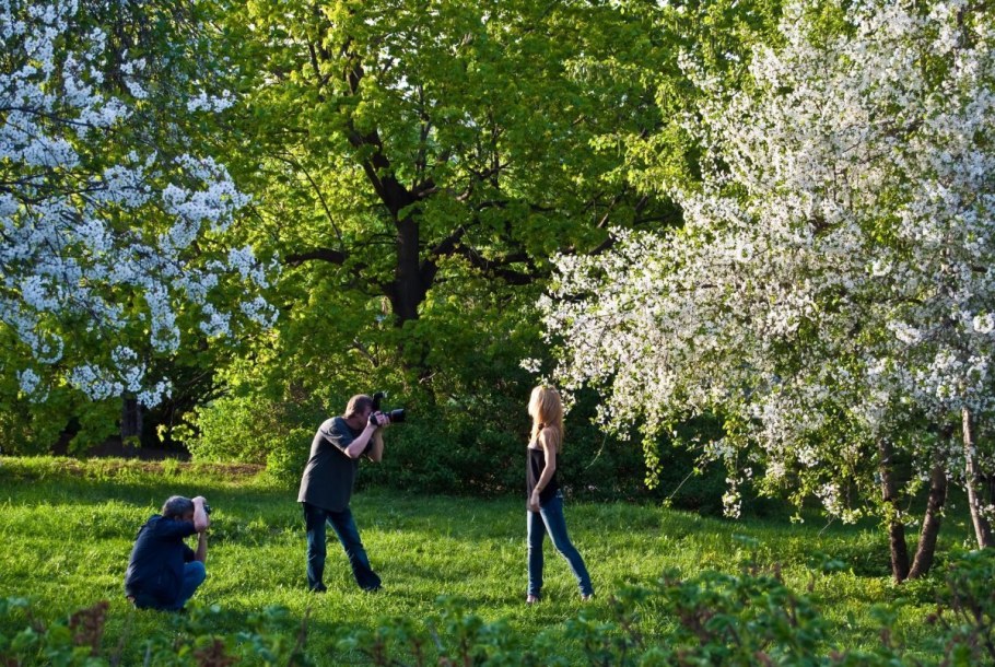 Яблоня Медуница шпалера