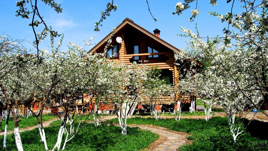 Аркадия Гарден плодовый сад