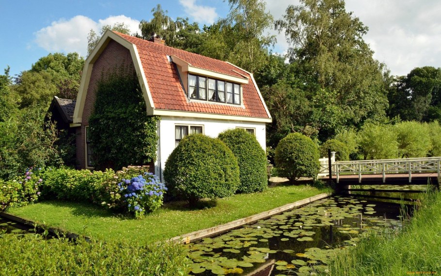 Цветы на приусадебном участке