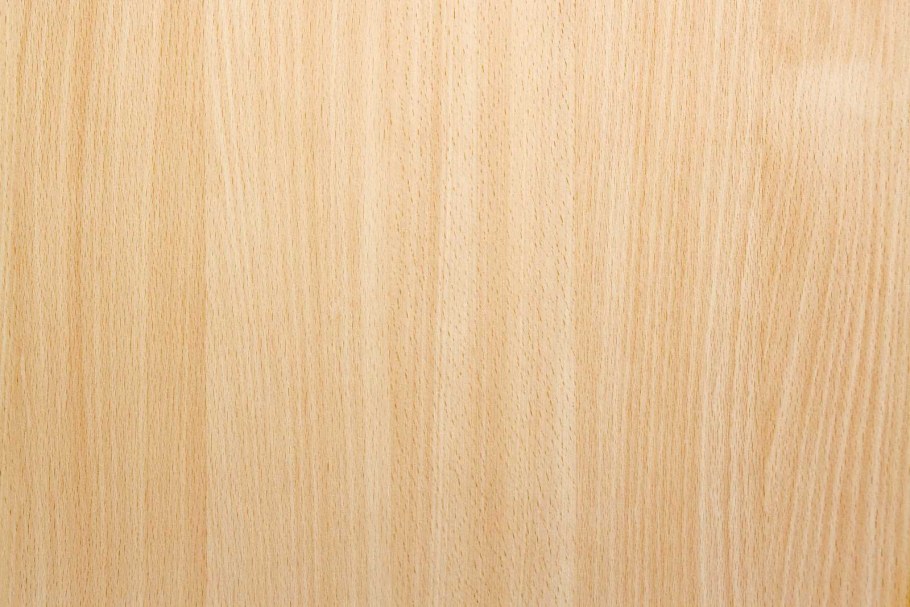 Дуб Бардолино (h1145 st10)