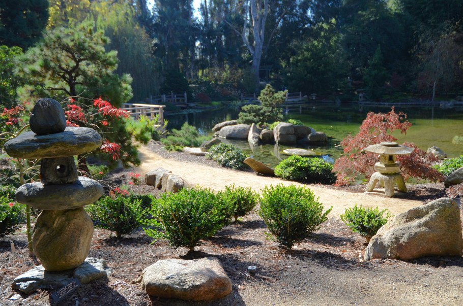 Маленький сад зима