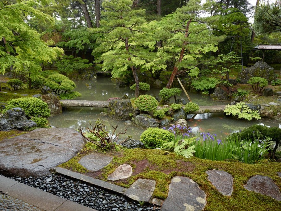 Ботсад Академгородок Новосибирск