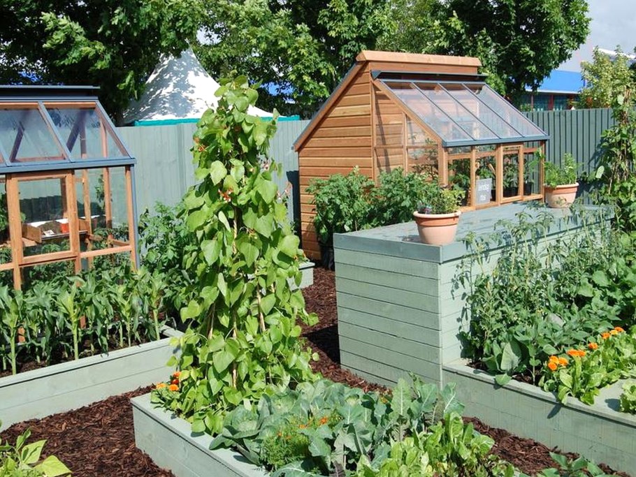 Огород на даче