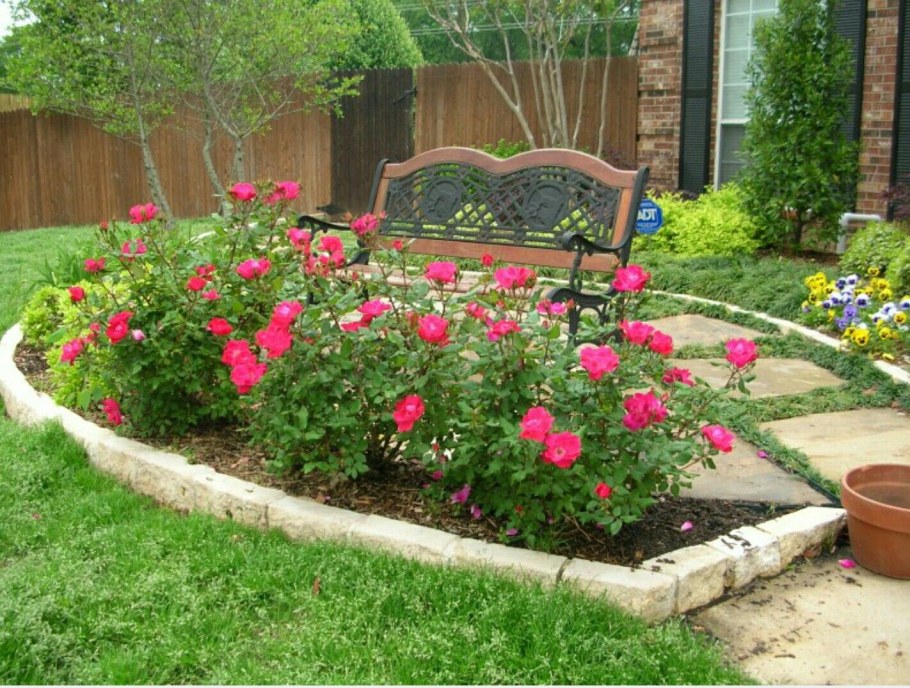 Клумбы с розами на даче