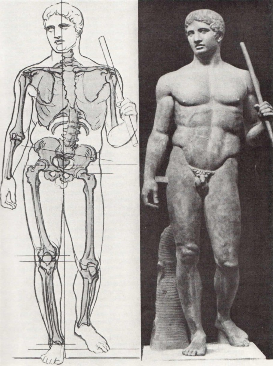 Канон Поликлета Дорифор