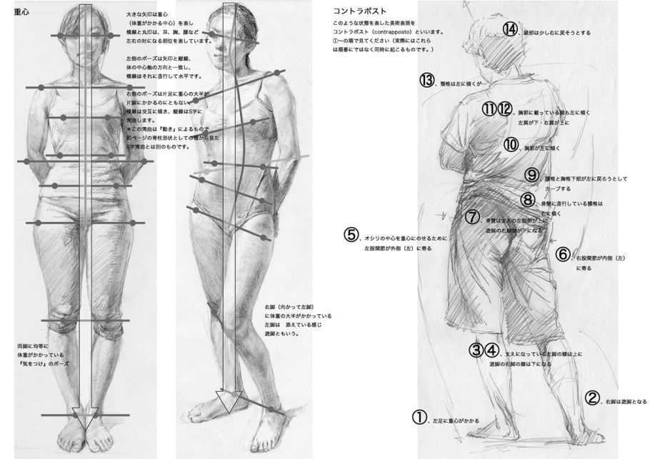Пропорции человека в полный рост референс