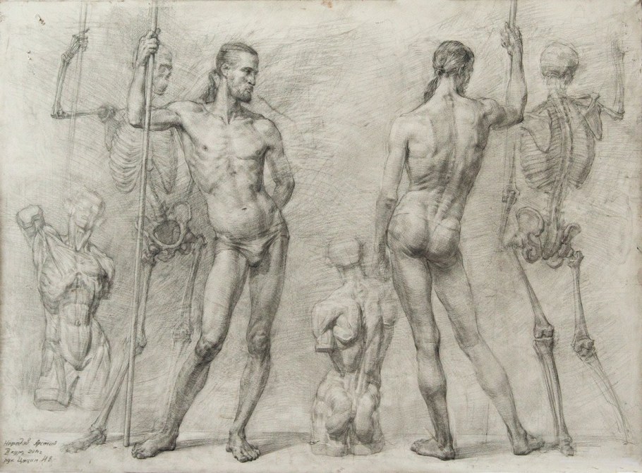 Пропорции фигуры человека Баммес