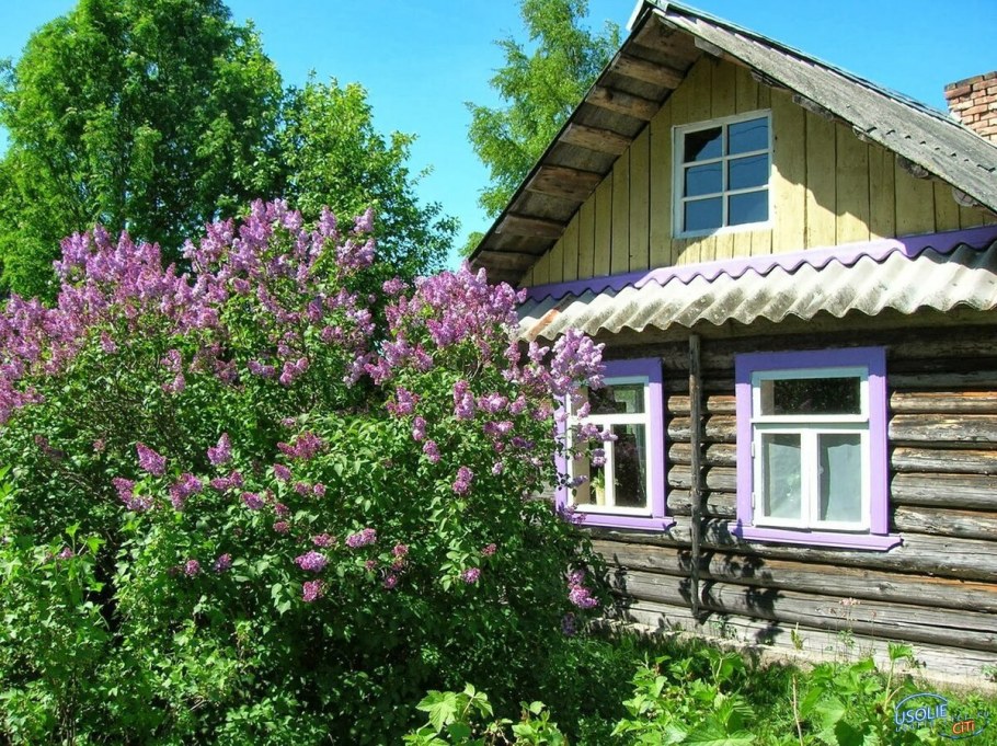 Деревенский домик летом