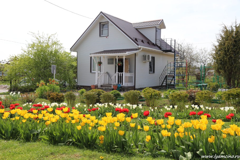 Палисадник в России в деревне