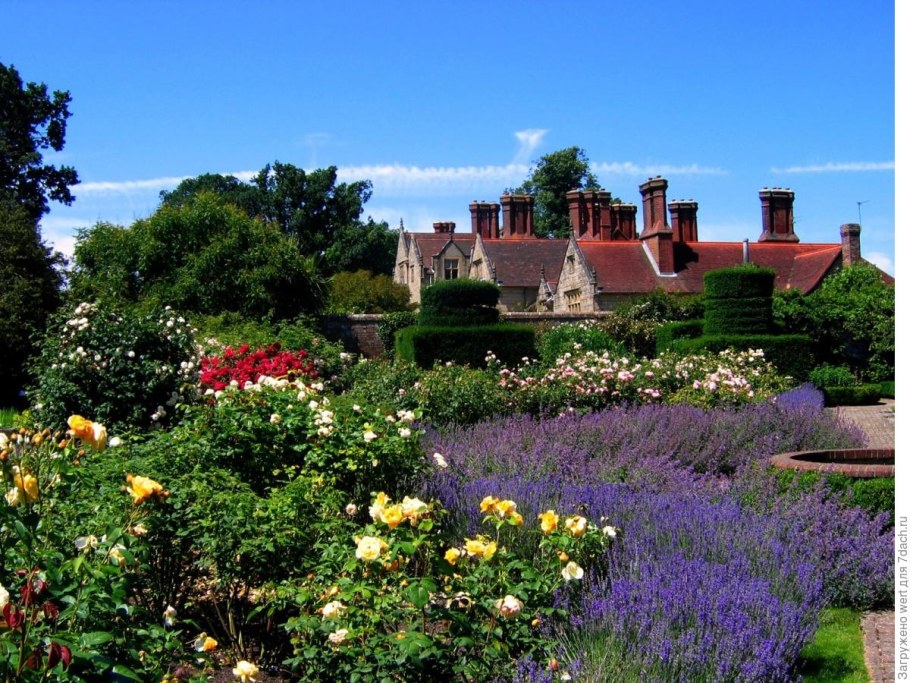 Англия деревня кэмбэлфорд ланшадф садов