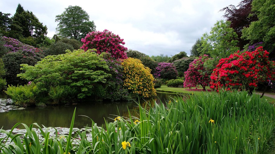 Парк дармера в Англии