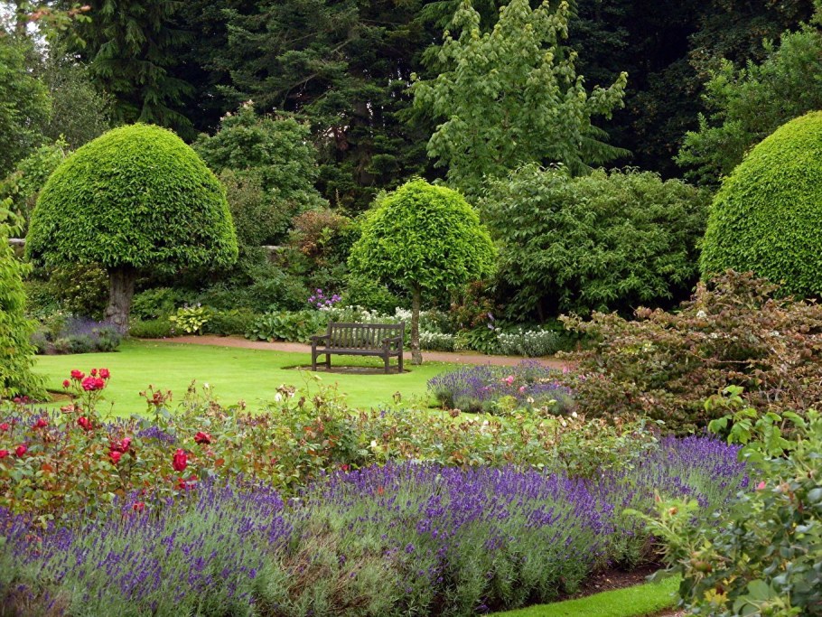 Хелен парк+ ландшафт