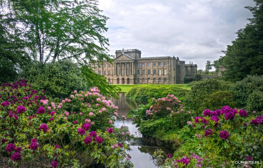 Парк Великобритания рододендроны