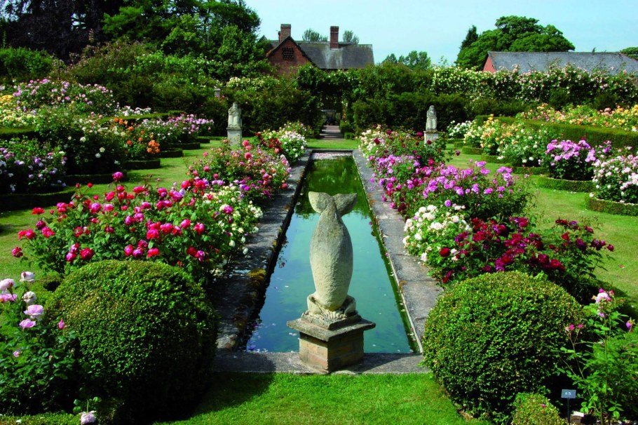 Сад роз (розарий) Дэвида Остина