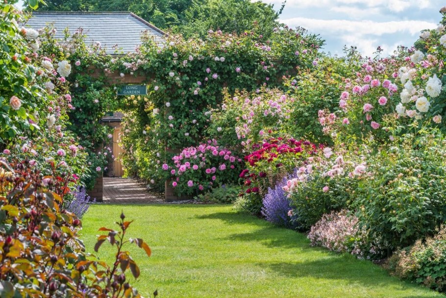 Англия парк Викторианский сад