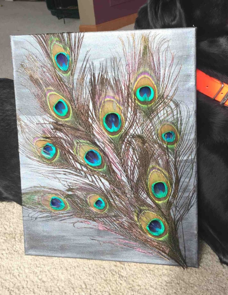 Поделки из павлиньих перьев