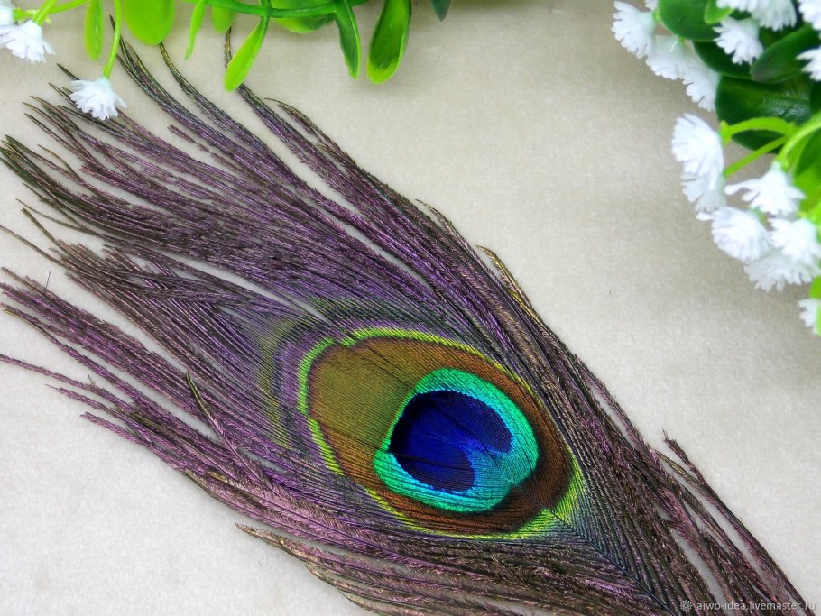 Натуральные перья павлина
