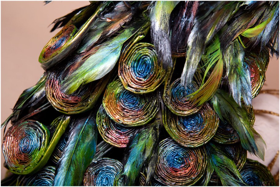 Жар птица из перьев