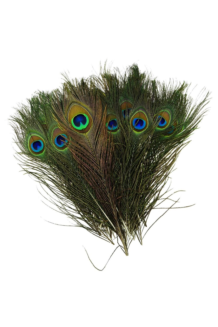 Необычные предметы из павлиньих перьев