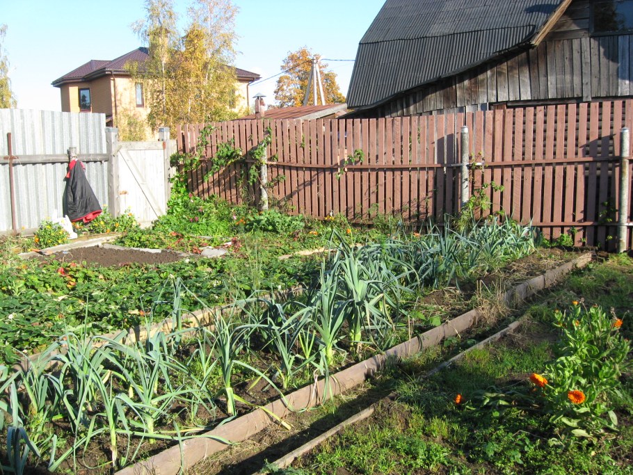 Садовые огородные и дачные земельные участки