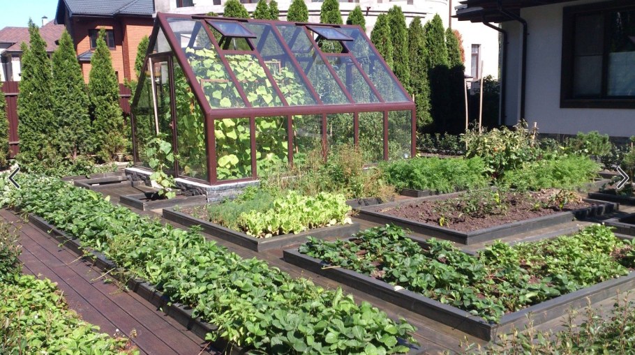 Декоративный огород с теплицей