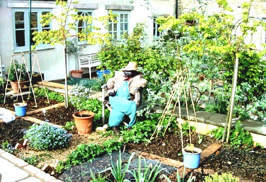 Красивые приусадебные участки и огороды