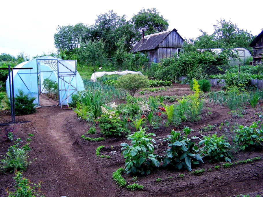 Дача русская с огородом