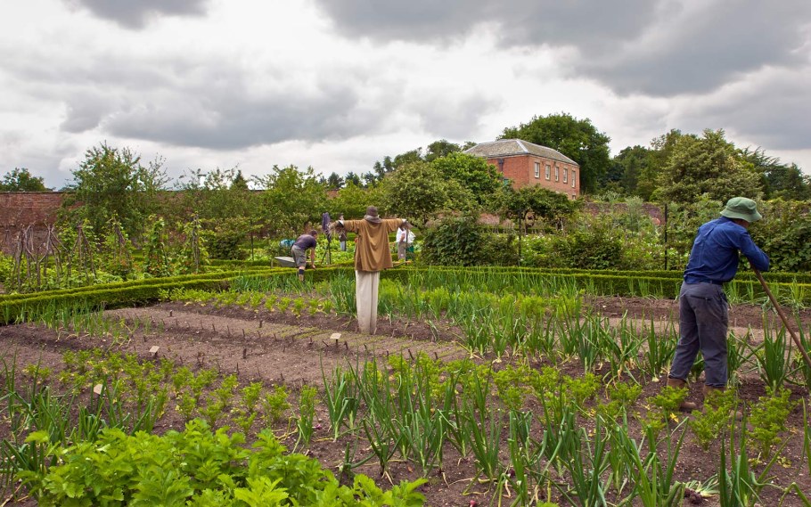 Сад и огород