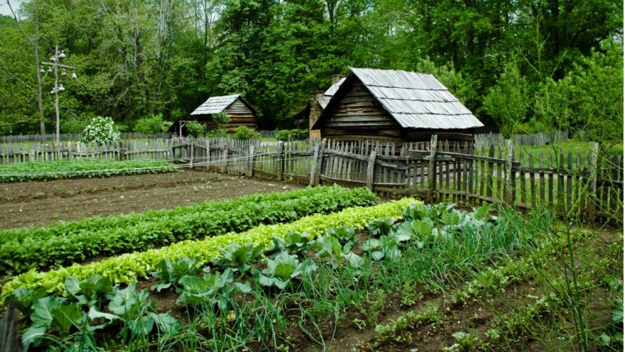 Крестьянский огородик во дворе