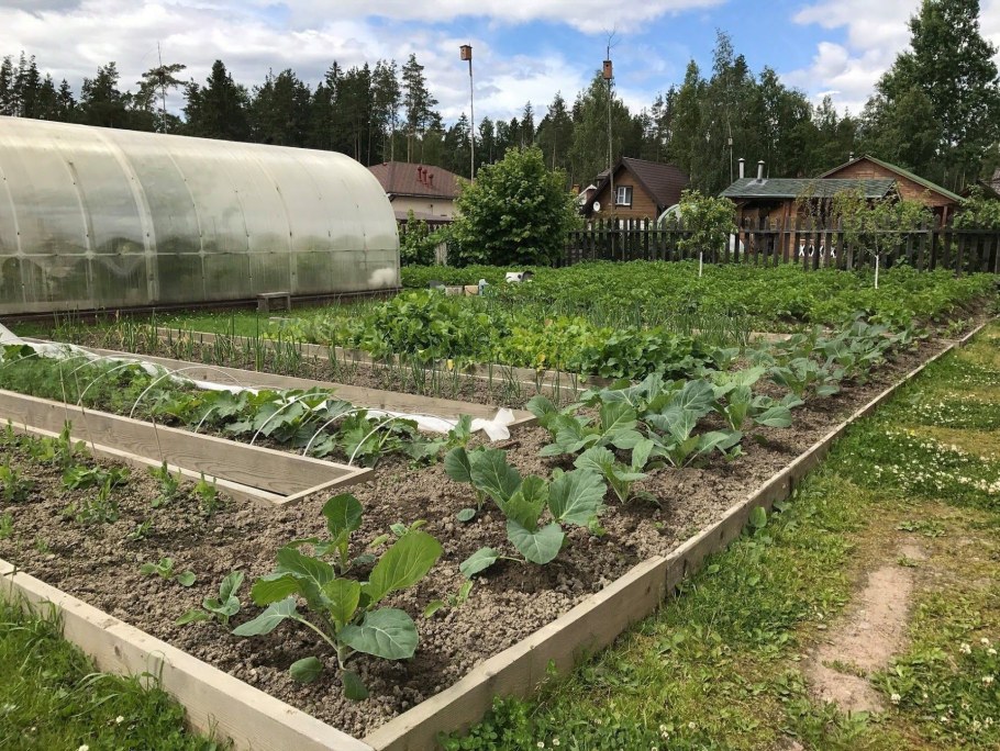 Красивый огород