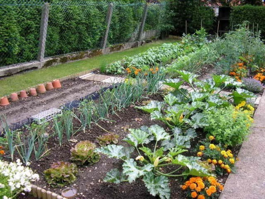 Смешанные грядки овощей