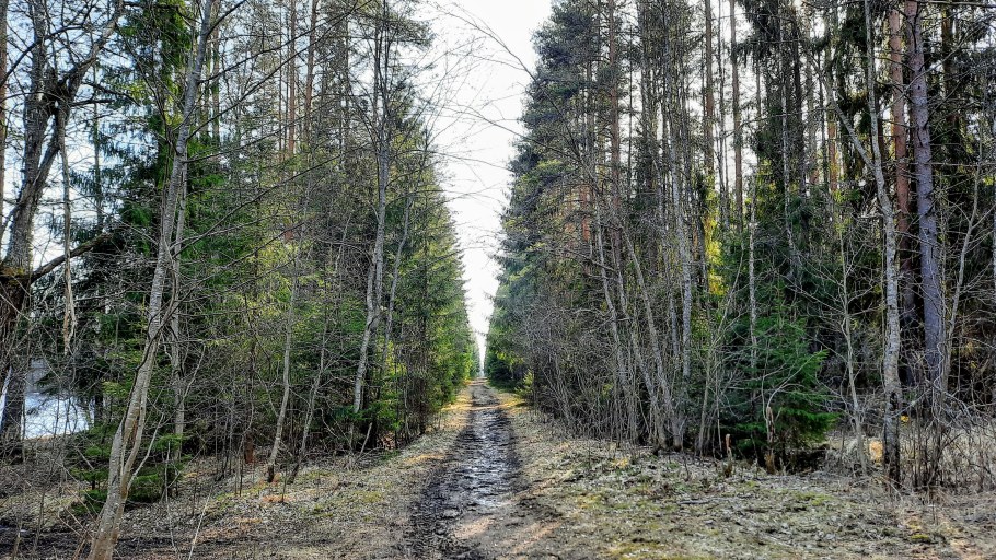 Дача Сталина новый Афон